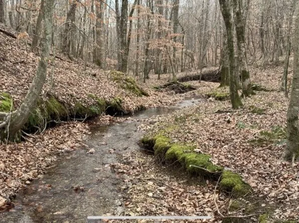 1 W Mackey Rd, Iron City, TN 38463