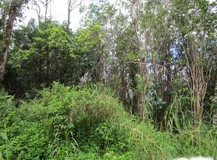 36th Ave LOT 29, Pahoa, HI 96778