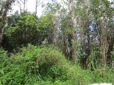 36th Ave, Pahoa, HI, 96778