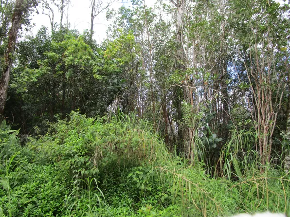 36th Ave Lot 29, Pahoa, HI 96778