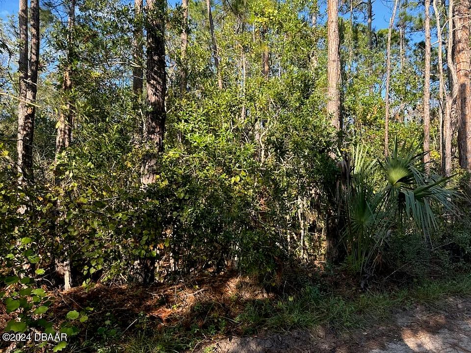 2nd image of 4637 Kola Rd