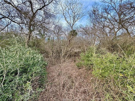 5th image of 10075 River Ridge Dr