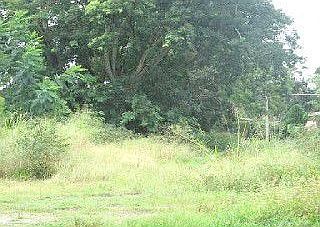 1st image of 4520 College Dr
