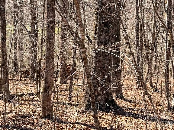 4th image of 659 Bent Creek Dr #35