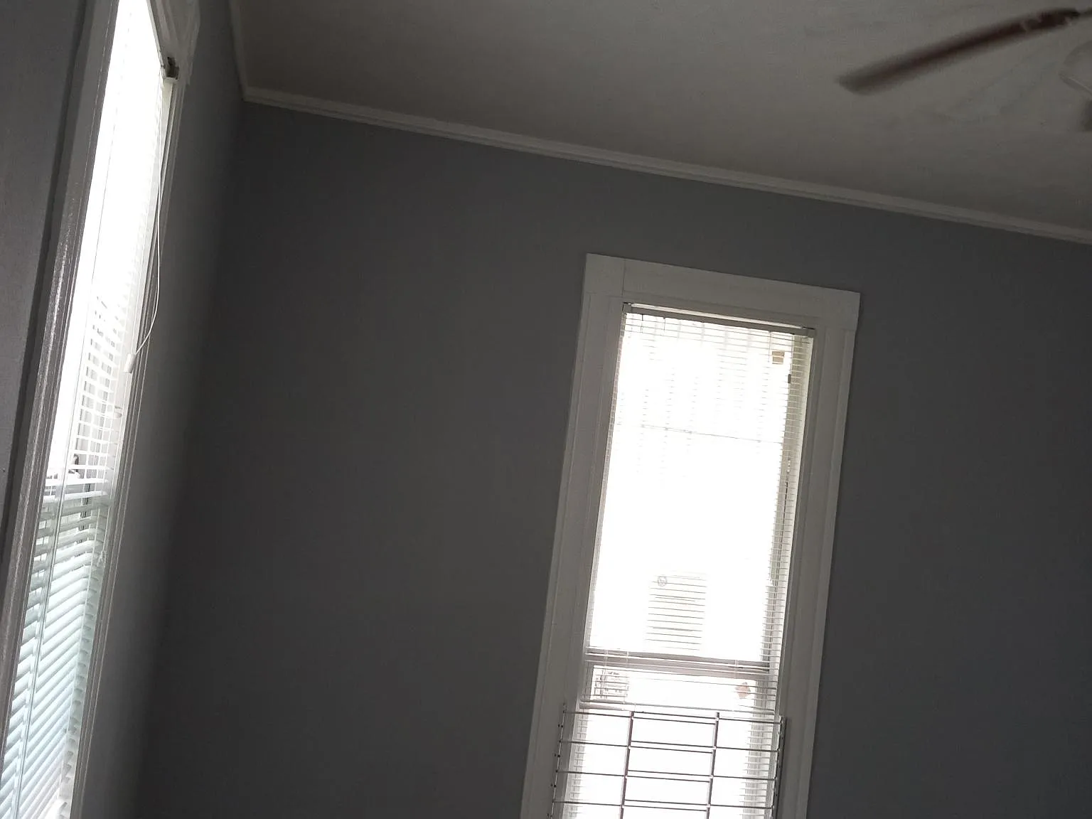 3 bed, 900 sqft, $1,595 — Photo 2