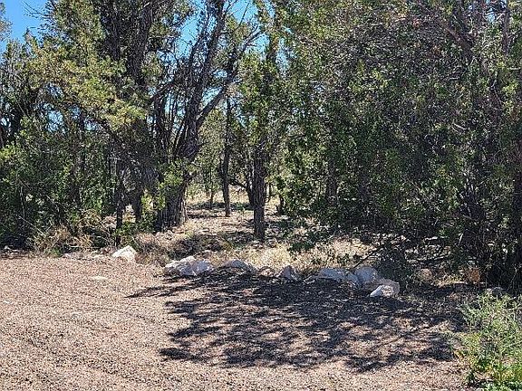 2nd image of 3181 Trailblazer Drive #-