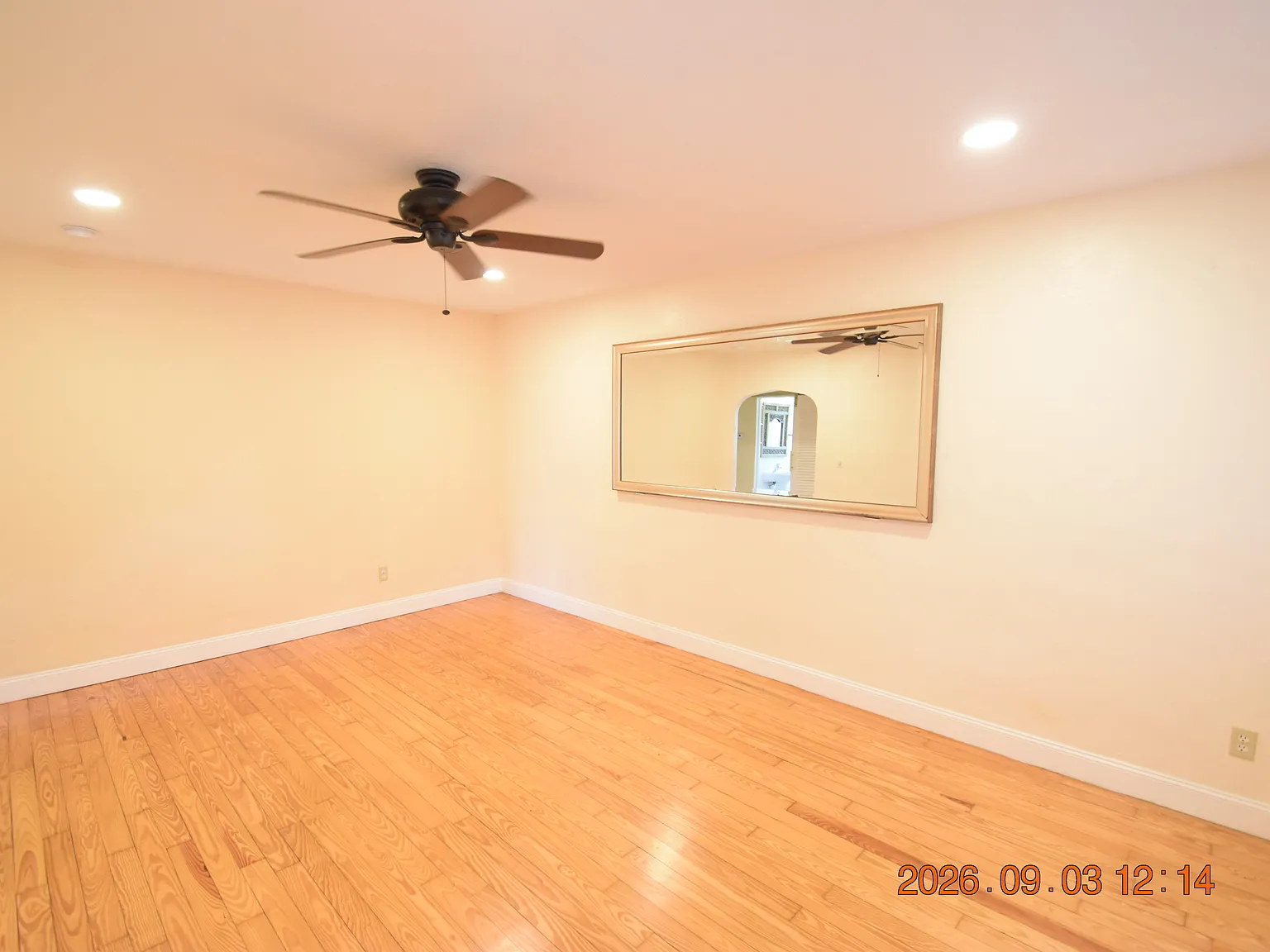 1 bed, 1000 sqft, $1,250 — Photo 2