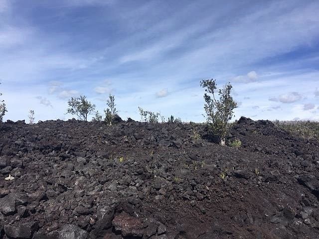 2nd image of 92-1623 Aloha Blvd Lot 32
