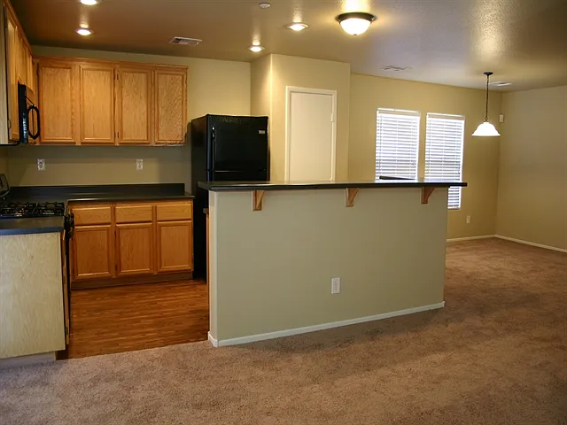 1171 Paradise Safari Dr — Photo 4