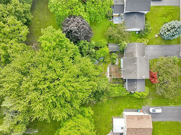 4th image of 100 Rodney Ln