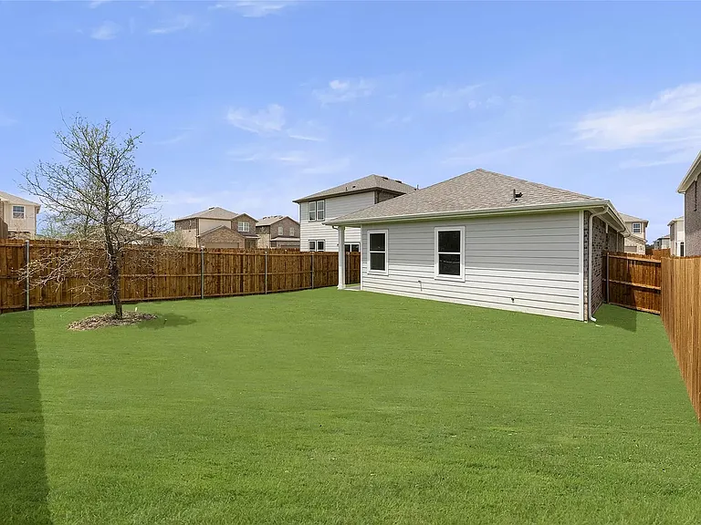 Backyard 2