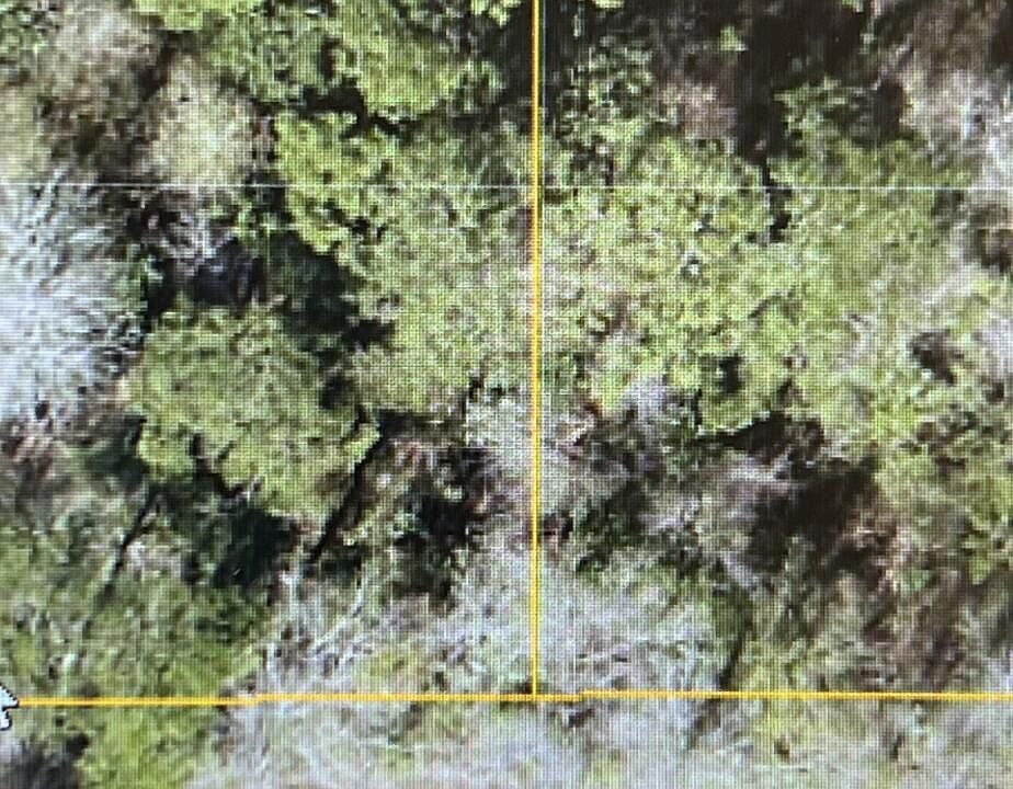 2nd image of 0 Silvercliffe Dr