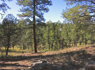 4790 Horseshoe Dr, Happy Jack, AZ 86024