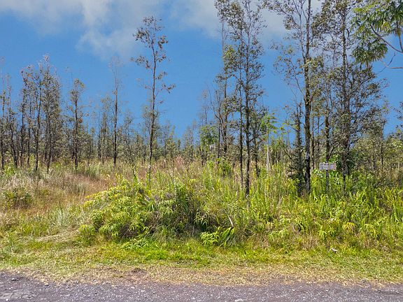 5th image of Road 9 Koloa Maoli Lot 5437