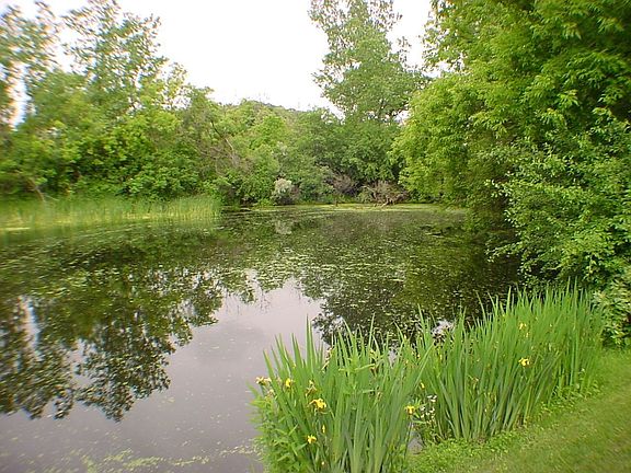 6085 Luncoln Dr #124