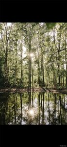 0 Pingree Rd, Howell, MI, 48843