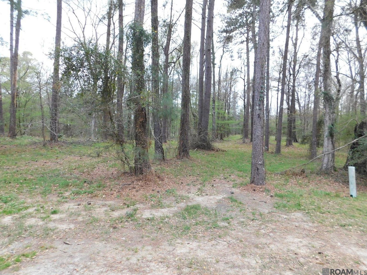 13812 Sweetwoods Holw