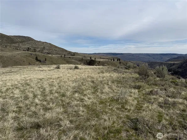 2830 Antoine Creek Road, Chelan, WA 98816