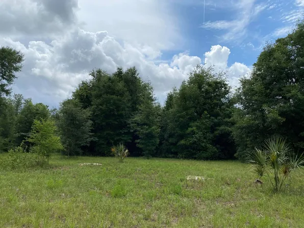 5899 NW 15th St, Bell, FL 32619