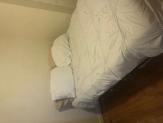 Rented by Shalimar Management | media 23