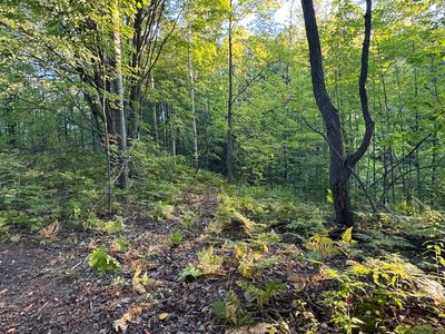 V/l 15 Mile Rd, Leroy, MI, 49655