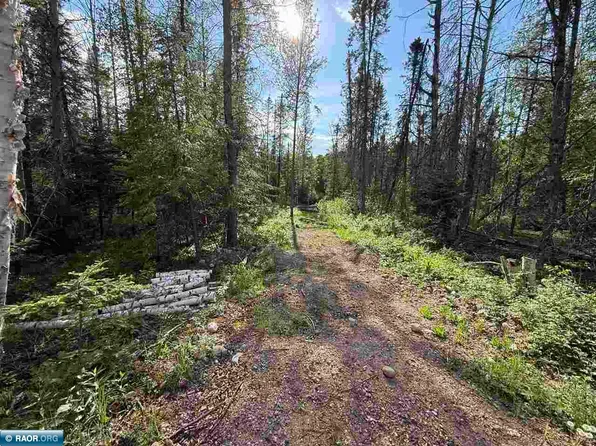 Tbd Leighton Rd S, Hibbing, MN 55746