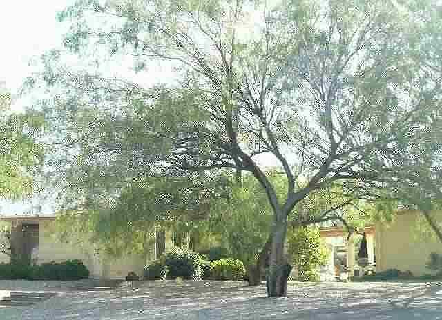 1st image of 1427 Rockwood