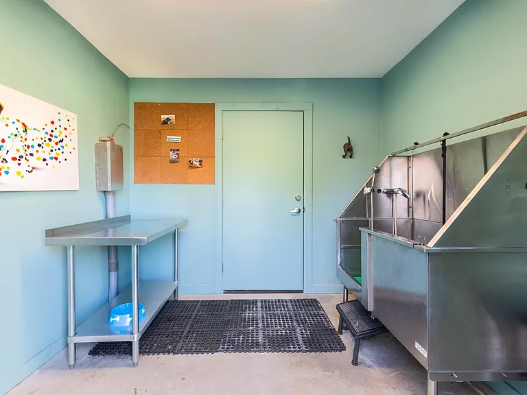 DOG WASH ROOM
