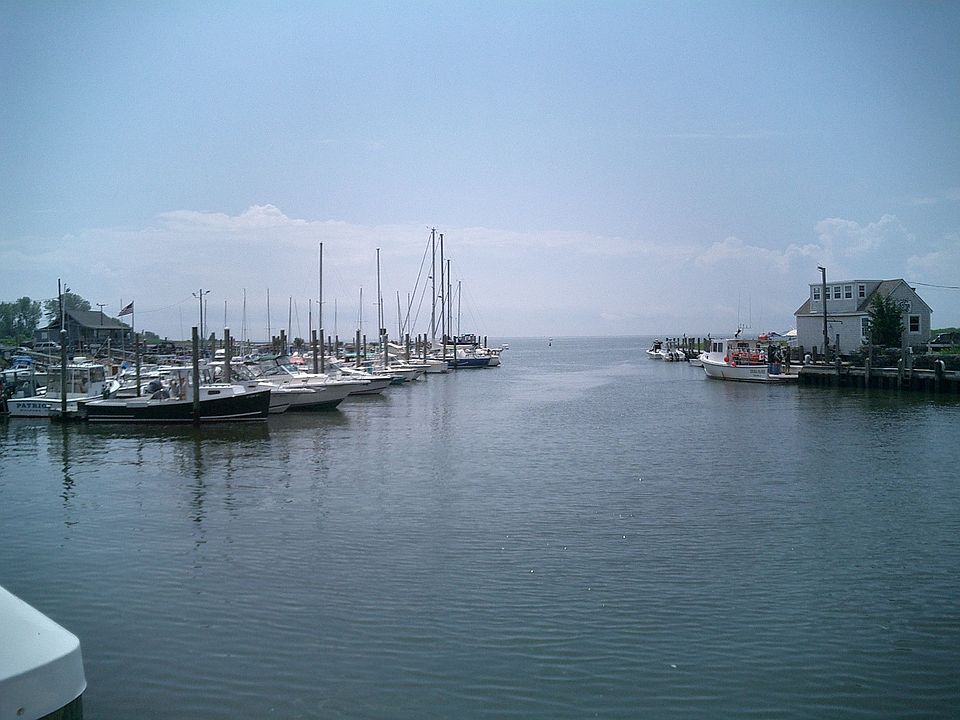 Walk to this Marina & Beach