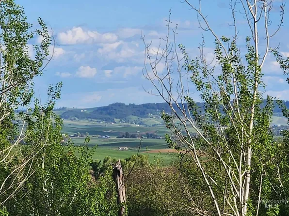 Ken Trl, Moscow, ID 83843