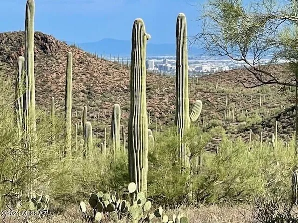 4262 N Broken Springs Trl, Tucson, AZ 85745