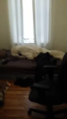 Rented by Metropolitan Property Group | media 8