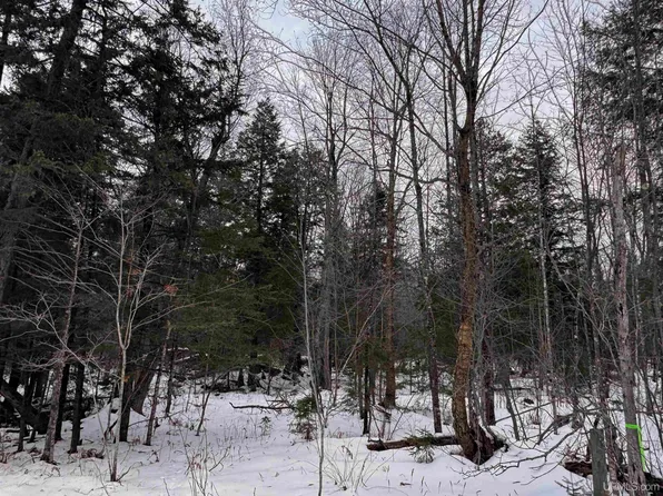 Tbd40 Street Rd, Skanee, MI 49962