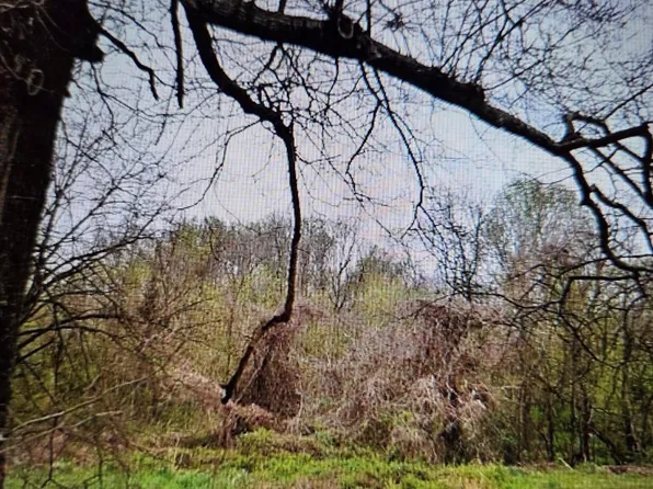 3031 Celia Ave, Charlotte, NC 28216