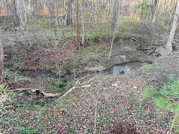 3rd image of 303 Horse Creek Rd