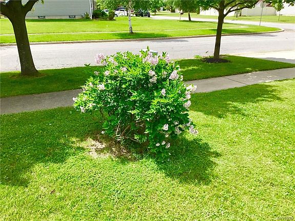 4th image of 51 Gale Dr