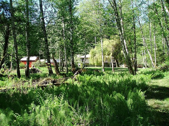 view from lower lot