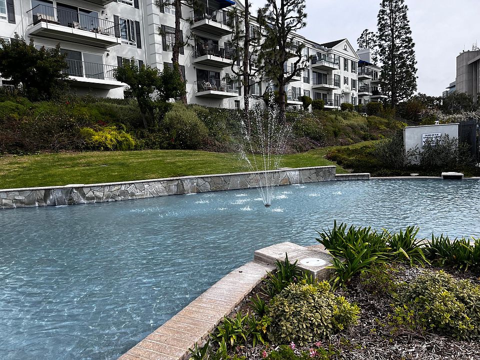 Clubhouse pond