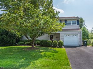 24 Hillery Dr, Flanders, NJ 07836