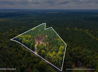 Lot 1 Capelsie Road, Candor, NC 27229