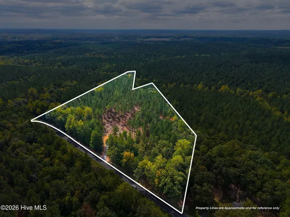 Lot 1 Capelsie Road, Candor, NC 27229
