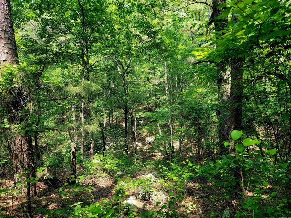 LOT 17 Fern Trl, Fairfield Bay, AR 72088