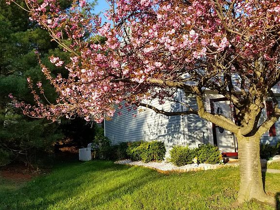 2nd image of 79 Stillwood Cir