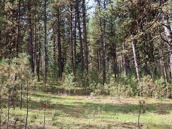 4th image of Tbd Hot Springs Rd