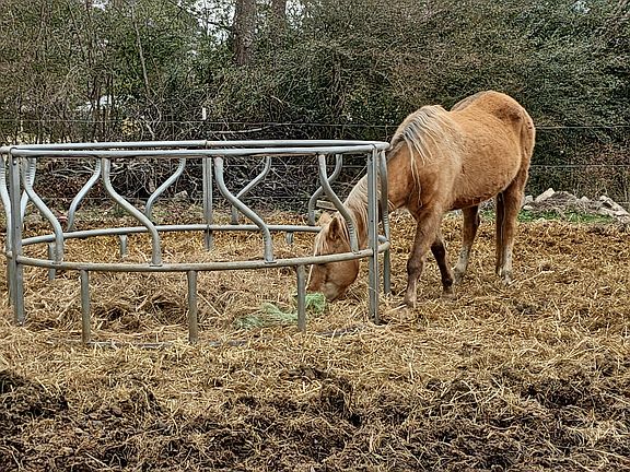 5th image of 2621 Davistown Rd