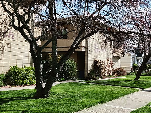 5th image of 215 E Vidas Ave APT 5