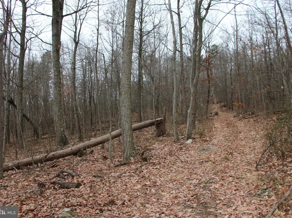 0 Back Rd, Toms Brook, VA 22660