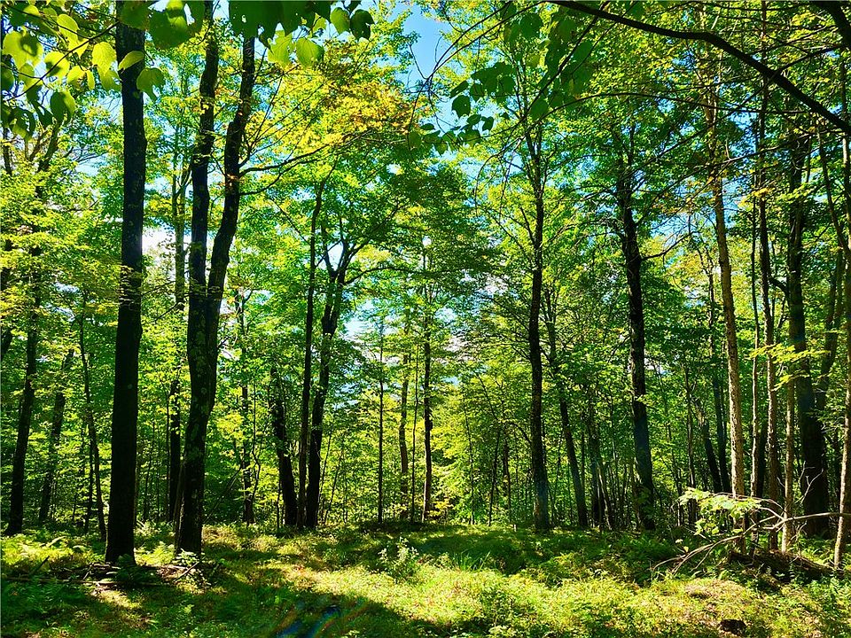 356 Betty Mountain Rd, Fleischmanns, NY 12430 Zillow