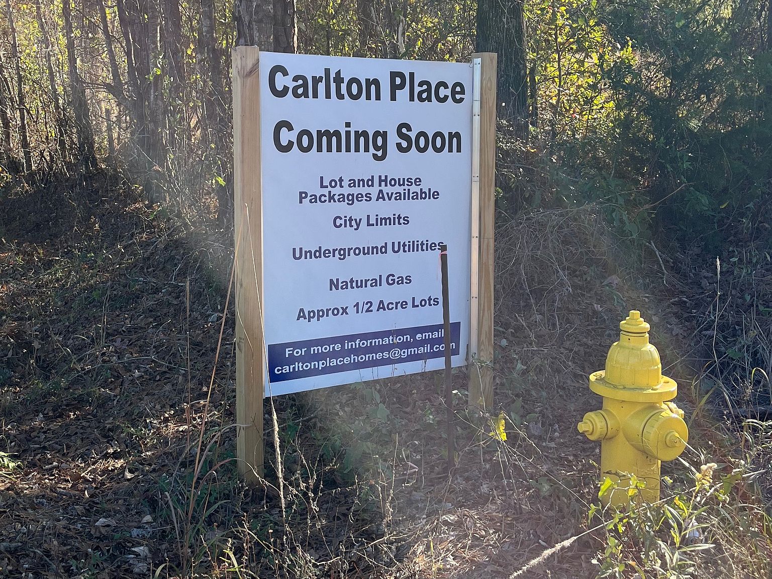 Carlton Place Homes by Carlton Place in Greenville AL Zillow