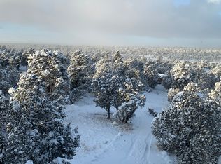 3254 Outlaw Trl, Overgaard, AZ 85933